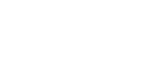 Cairo Insider